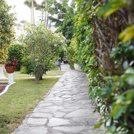Rf San Borondon 3* Puerto de la Cruz (Tenerife)